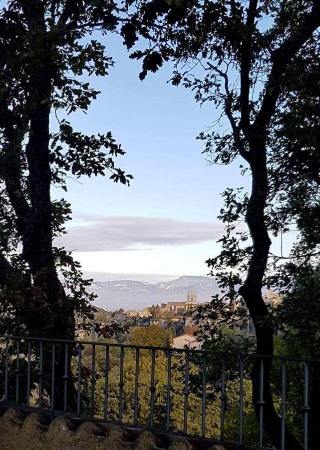 Mas Du Kairos - Gite Romarin Venasque Exterior foto